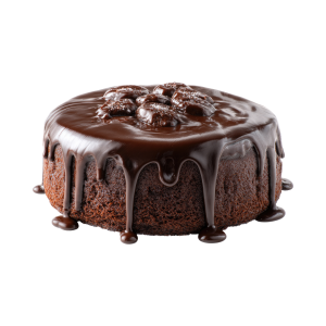 Choco Ganache Cake